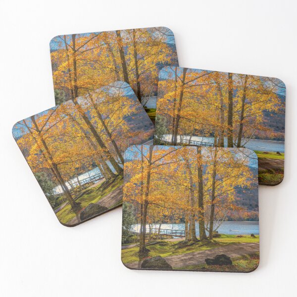 Item preview, Sunlit Birches - Vermont designed and sold by Viv Thompson Photography .