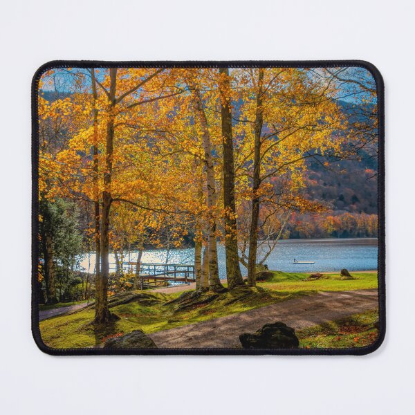 Item preview, Sunlit Birches - Vermont designed and sold by Viv Thompson Photography .