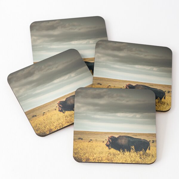 Item preview, bison side view designed and sold by franckreporter.