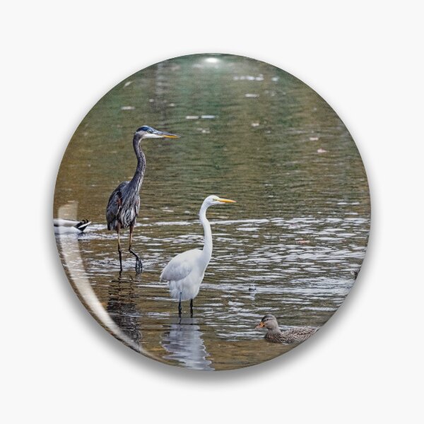 Item preview, Wading Birds Gathered for Fishing Challenge designed and sold by ShorelineImages.