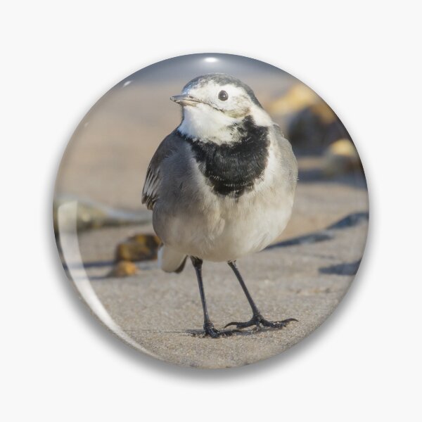 Item preview, Pied Wagtail designed and sold by LaurenTucker.