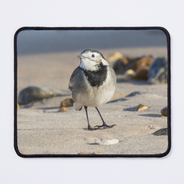 Item preview, Pied Wagtail designed and sold by LaurenTucker.