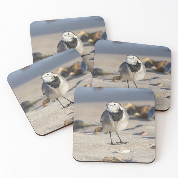 Item preview, Pied Wagtail designed and sold by LaurenTucker.