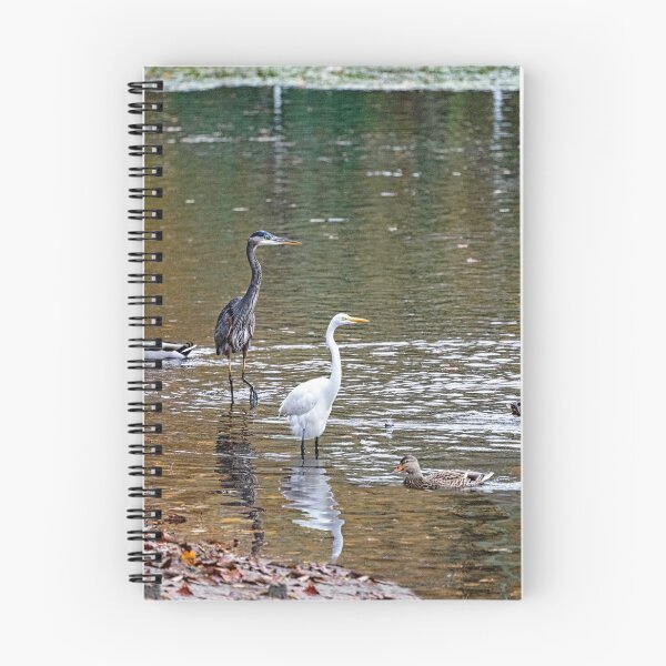 Item preview, Wading Birds Gathered for Fishing Challenge designed and sold by ShorelineImages.
