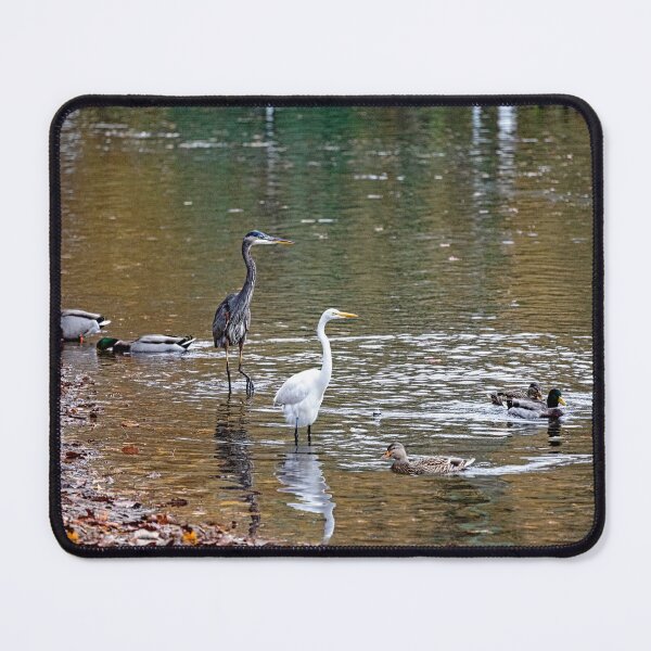 Item preview, Wading Birds Gathered for Fishing Challenge designed and sold by ShorelineImages.