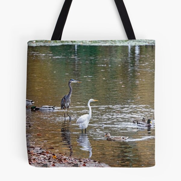Item preview, Wading Birds Gathered for Fishing Challenge designed and sold by ShorelineImages.