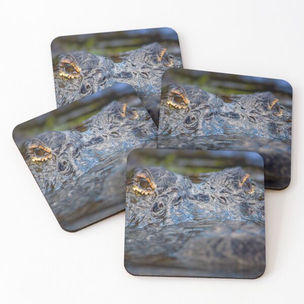Item preview, Gator Ahead designed and sold by VisualVoyages.