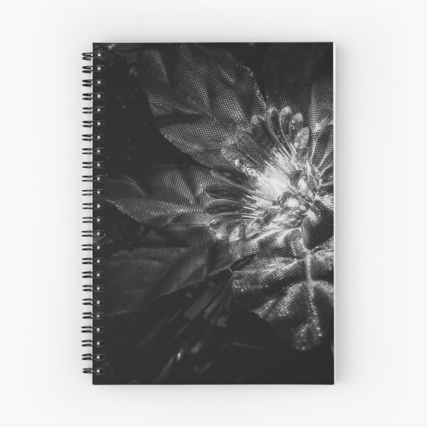 Artikelvorschau, Ein Leuchten auf dem Baum (Schwarz-Weiß-Fotografie) entworfen und verkauft von light-blower.