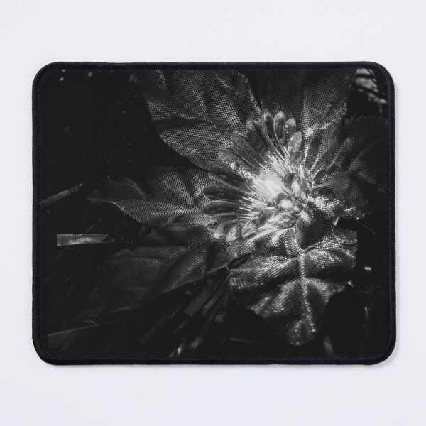 Item preview, A glow on the tree (black and white photography) designed and sold by light-blower.