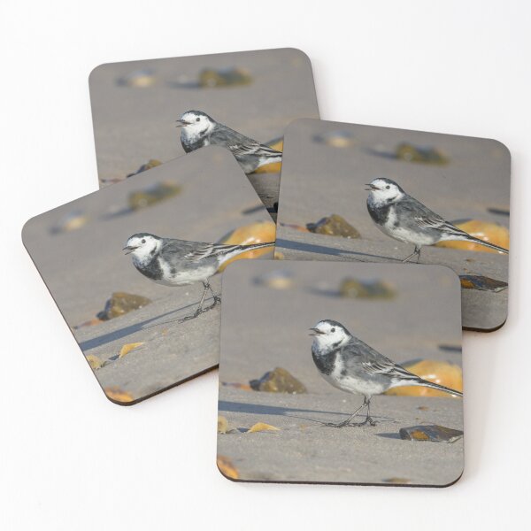 Item preview, Pied Wagtail designed and sold by LaurenTucker.