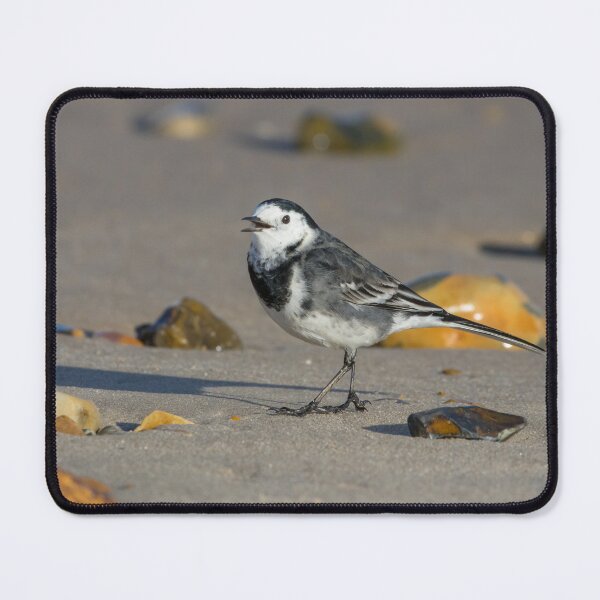 Item preview, Pied Wagtail designed and sold by LaurenTucker.