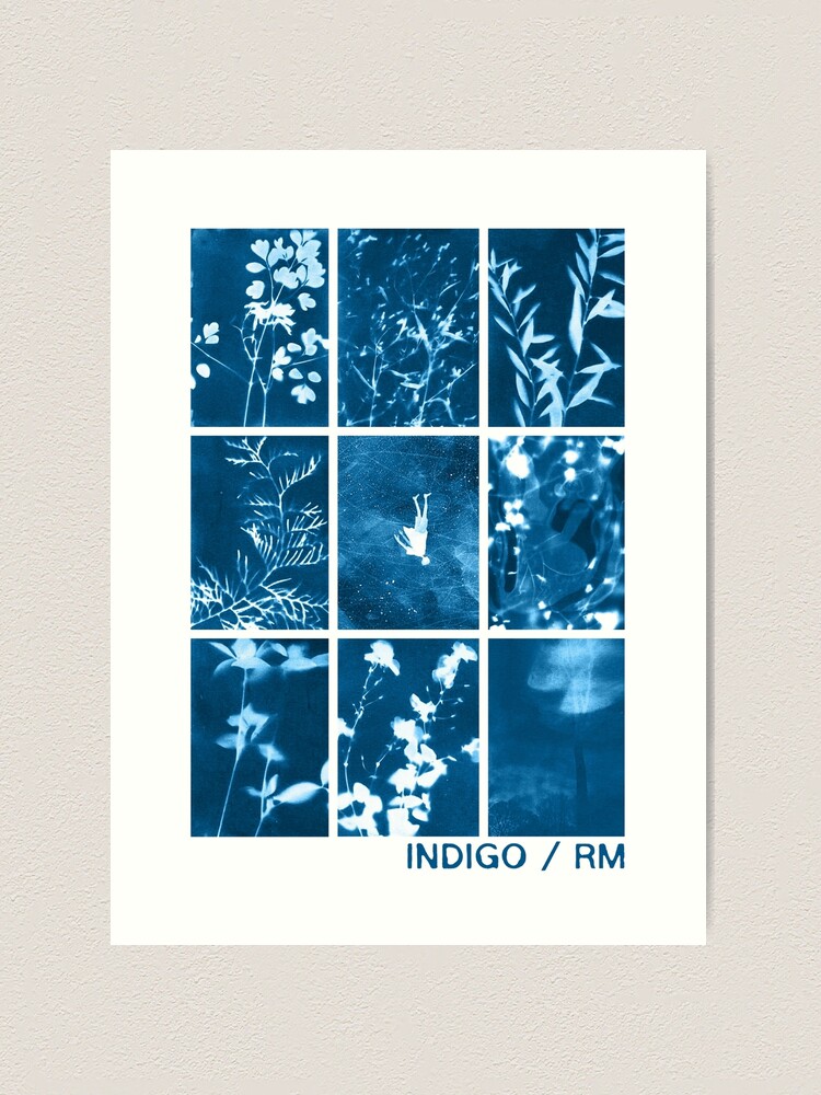 indigo - rm