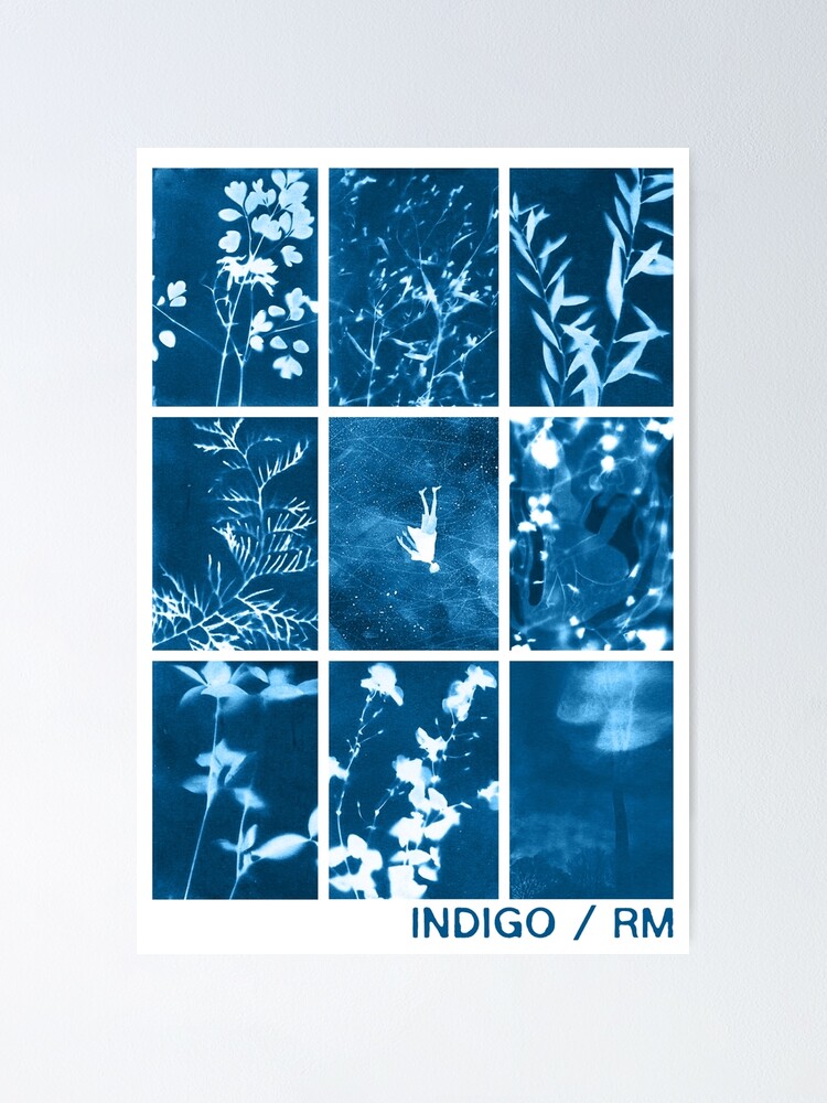 INDIGO / RM フォトカードポスター s-l400.jpg