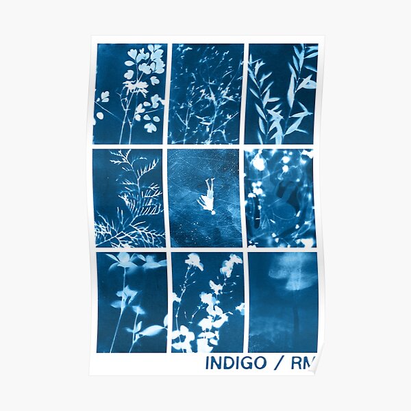 indigo - rm Poster