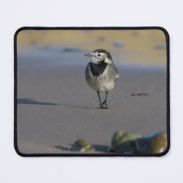 Item preview, Pied Wagtail designed and sold by LaurenTucker.