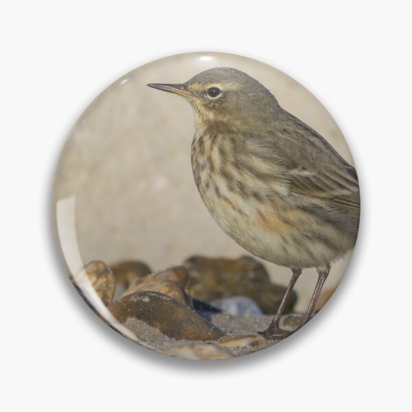 Item preview, Rock Pipit designed and sold by LaurenTucker.