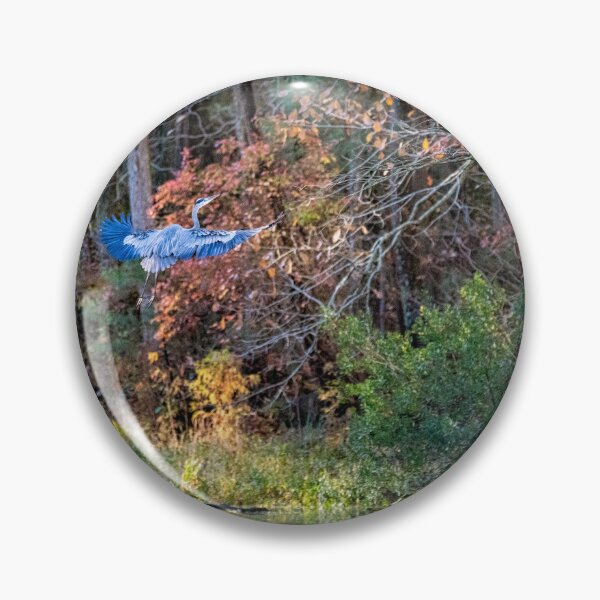 Item preview, Great Blue Heron Flying Above Lake designed and sold by ShorelineImages.
