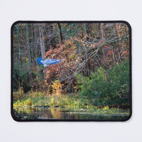 Item preview, Great Blue Heron Flying Above Lake designed and sold by ShorelineImages.