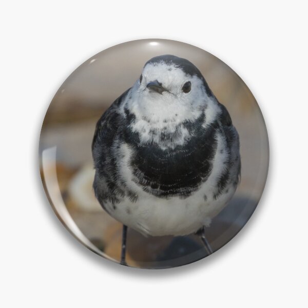 Item preview, Pied Wagtail designed and sold by LaurenTucker.