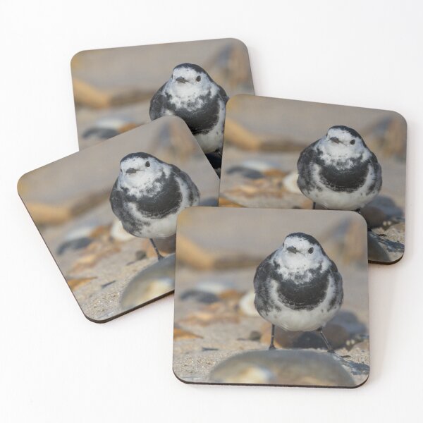 Item preview, Pied Wagtail designed and sold by LaurenTucker.