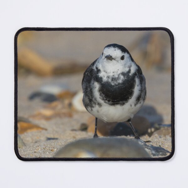 Item preview, Pied Wagtail designed and sold by LaurenTucker.
