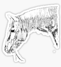 Quarter Horse Gelding IV Sticker