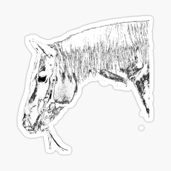 Aperçu de l'œuvre  prise artistique noir et blanc sur l'image. créée et vendue par HiddenRockRanch.