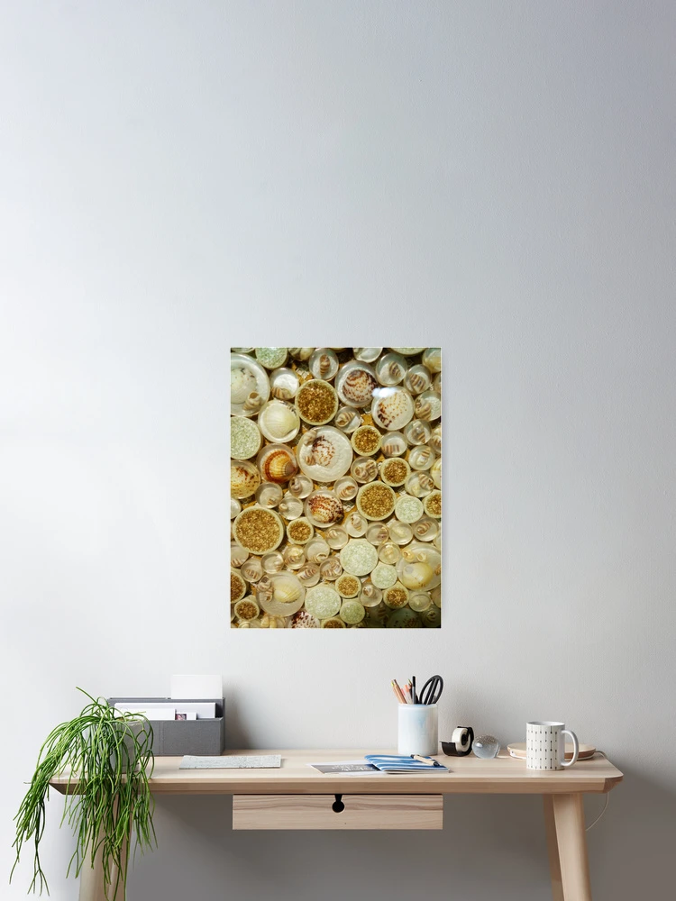 Thumbnail 2 of 3, Poster, Shell pattern designed and sold by Matt's Photography.