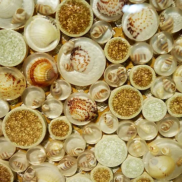 Artwork thumbnail, Shell pattern by Matt's Photography