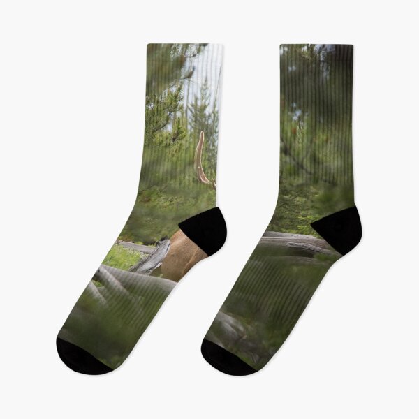 Item preview, Elk Up Close designed and sold by Warrior Veteran Clothing.