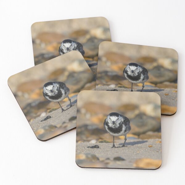 Item preview, Pied Wagtail designed and sold by LaurenTucker.