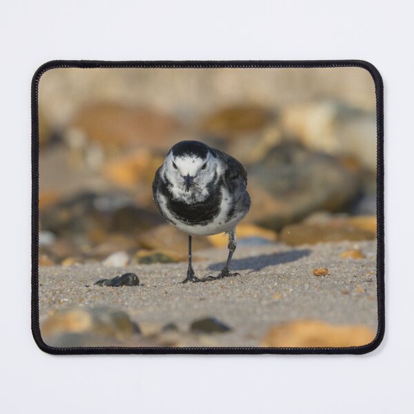 Item preview, Pied Wagtail designed and sold by LaurenTucker.