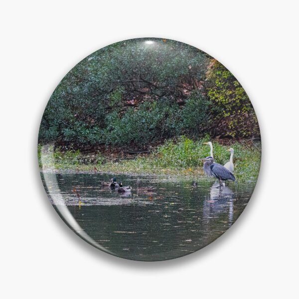 Item preview, Heron and Egrets Surprised Look designed and sold by ShorelineImages.