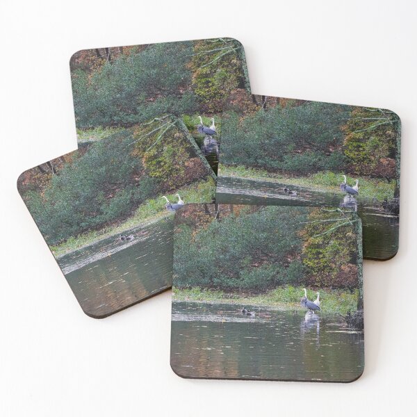 Item preview, Heron and Egrets Surprised Look designed and sold by ShorelineImages.