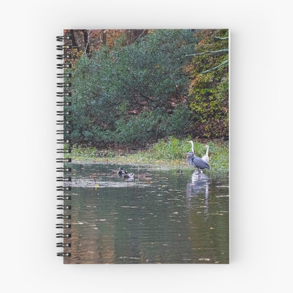 Item preview, Heron and Egrets Surprised Look designed and sold by ShorelineImages.