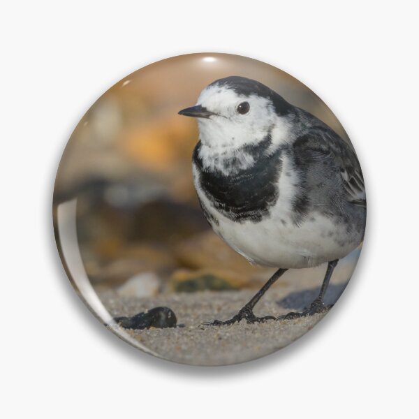 Item preview, Pied Wagtail designed and sold by LaurenTucker.