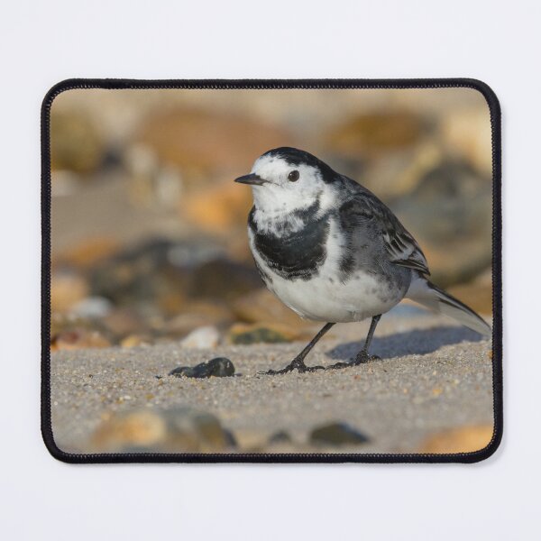 Item preview, Pied Wagtail designed and sold by LaurenTucker.