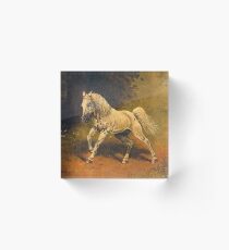 White Horse Acrylic Block