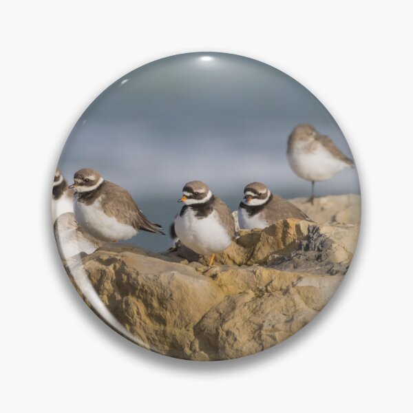 Item preview, Ringed Plover and Dunlin designed and sold by LaurenTucker.