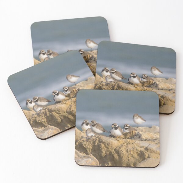 Item preview, Ringed Plover and Dunlin designed and sold by LaurenTucker.
