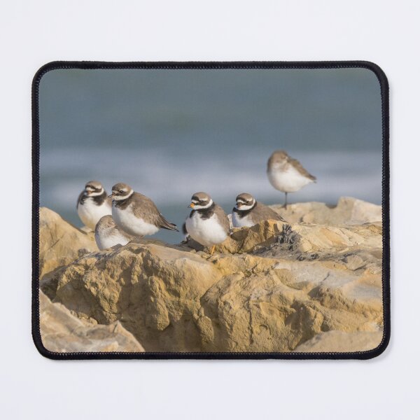 Item preview, Ringed Plover and Dunlin designed and sold by LaurenTucker.
