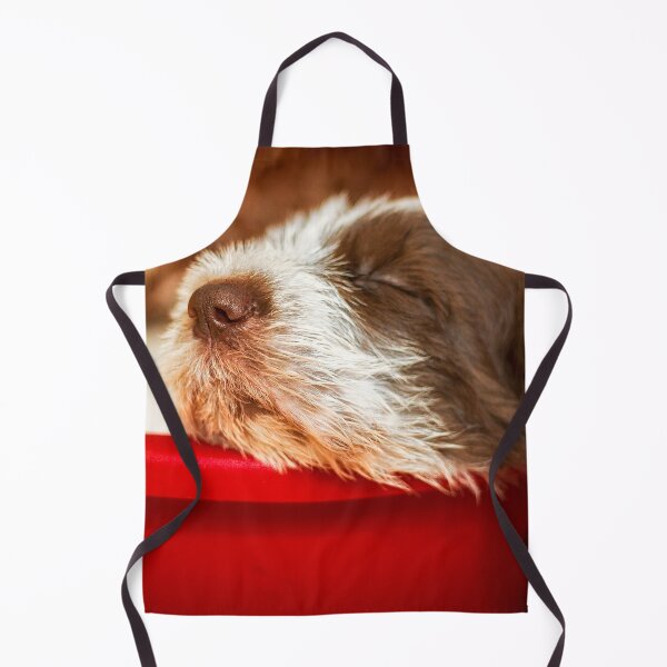 Item preview, Snoozy Spinone puppy designed and sold by FOLK ART FUSION by heidiannemorris.