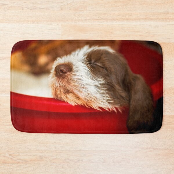 Item preview, Snoozy Spinone puppy designed and sold by FOLK ART FUSION by heidiannemorris.