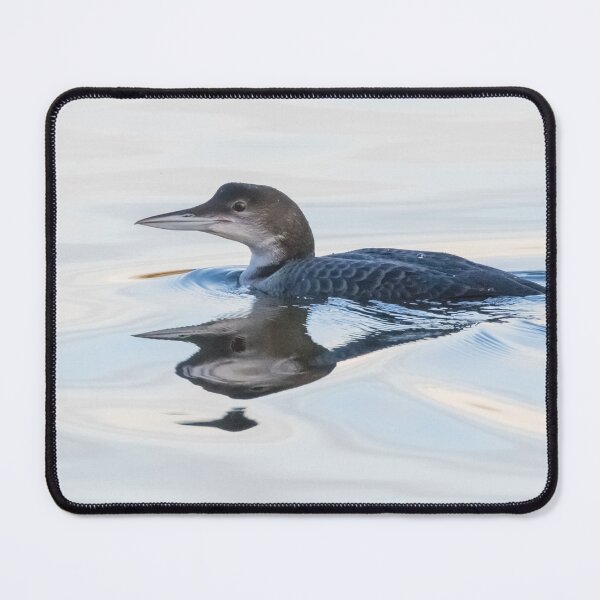 Item preview, Great Northern Diver designed and sold by LaurenTucker.