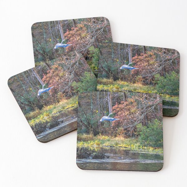Item preview, Great Blue Heron Flaps It's Wings at Takeoff designed and sold by ShorelineImages.