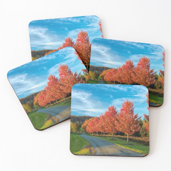 Item preview, Autumn's Approach designed and sold by Viv Thompson Photography .
