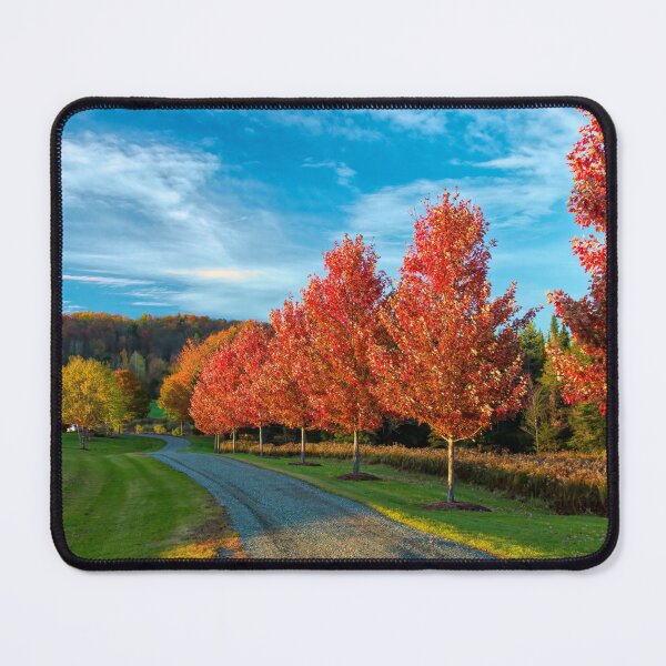 Item preview, Autumn's Approach designed and sold by Viv Thompson Photography .