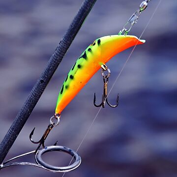 This weeks new lure: Canadian wiggler