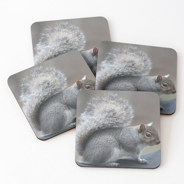 Item preview, eastern gray squirrel  designed and sold by bmiller64.