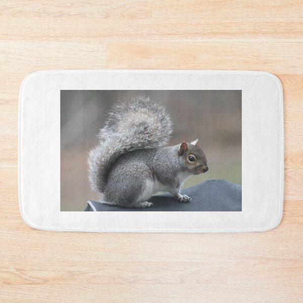 Item preview, eastern gray squirrel  designed and sold by bmiller64.